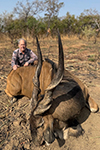 Lord Derby Eland in Faro East