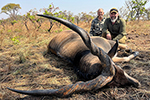 Lord Derby Eland in Faro East